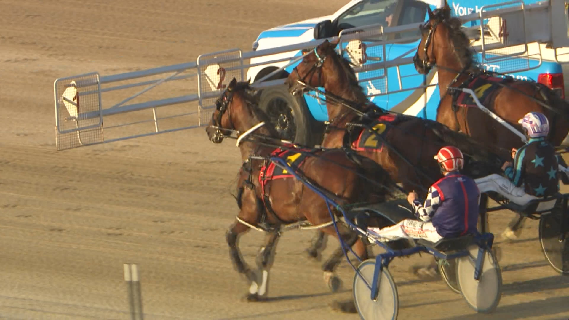 Addington Race 7: 13-12-2024