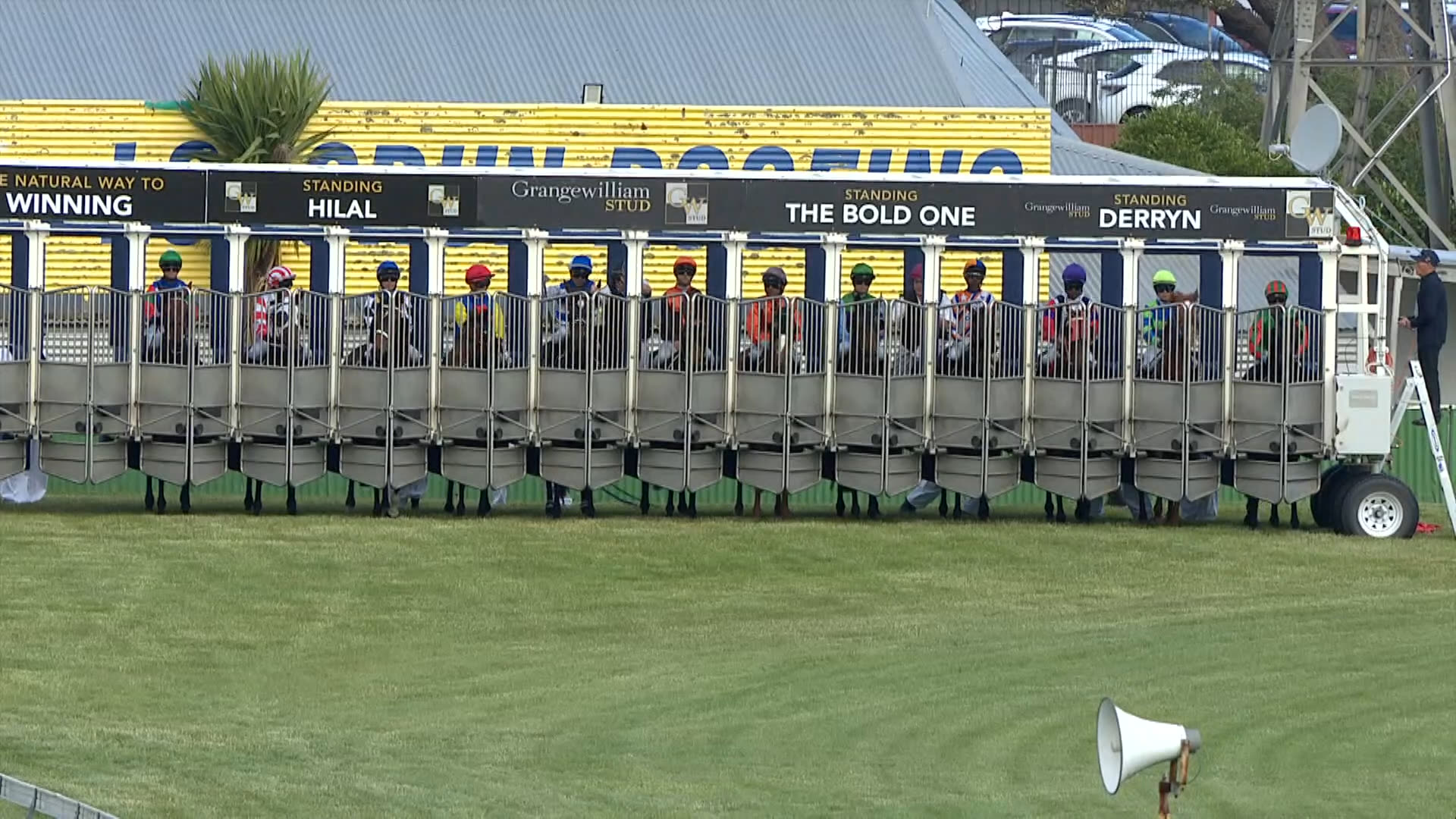 Whanganui Race 9: 23-11-2024