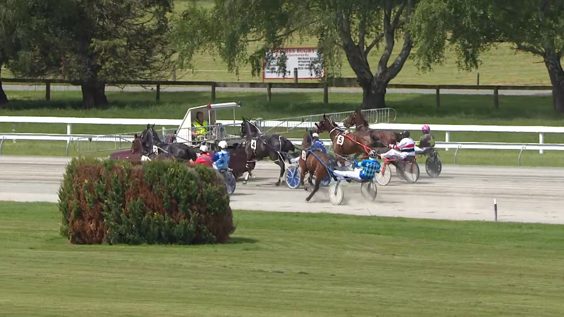 Wyndham Race 1: 10-11-2024