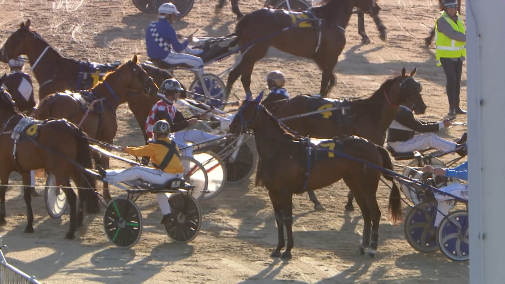 Addington (H) Race 5: 29-11-2024
