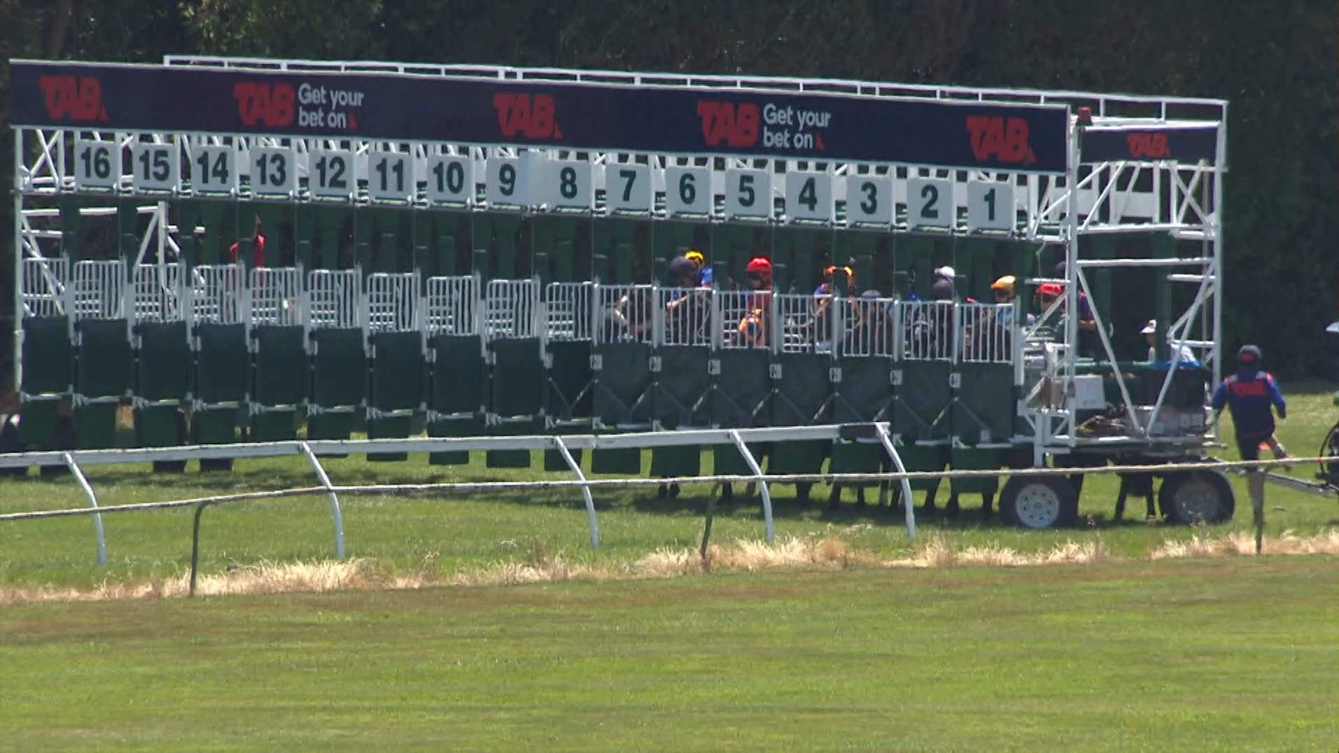 Te Rapa Race 5: 13-12-2025
