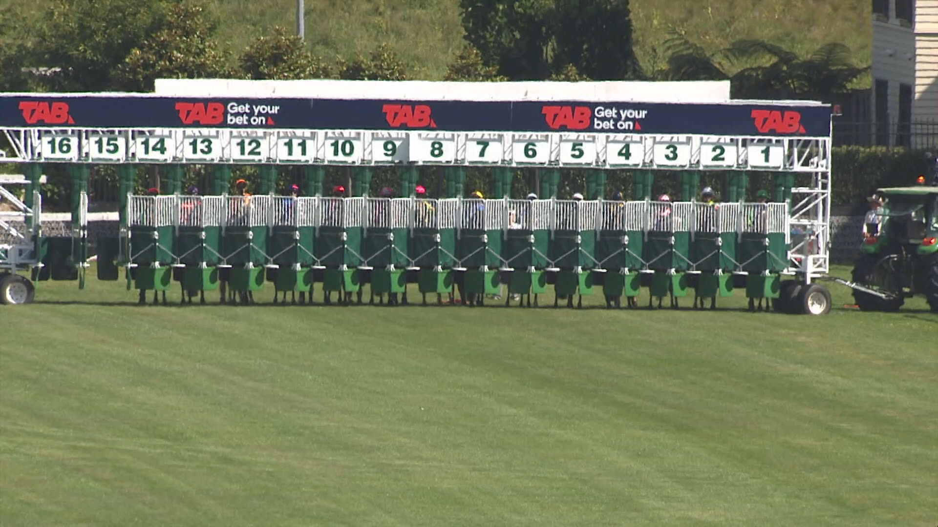 Te Rapa Race 8: 13-12-2025