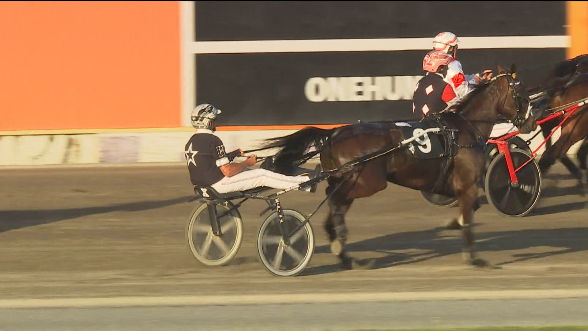 Pukekohe Race 5: 12-12-2025