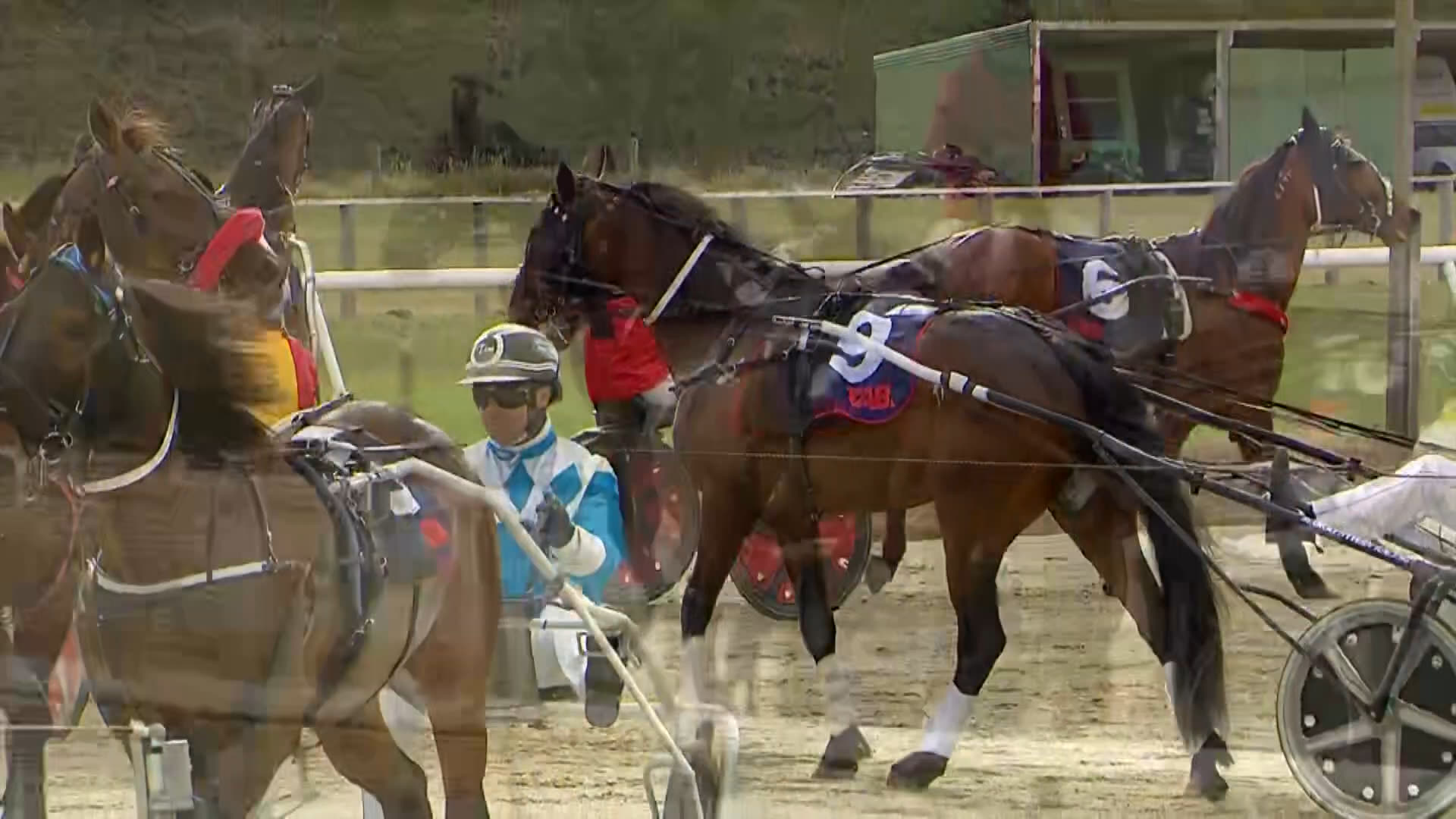 Timaru Race 8: 03-12-2025