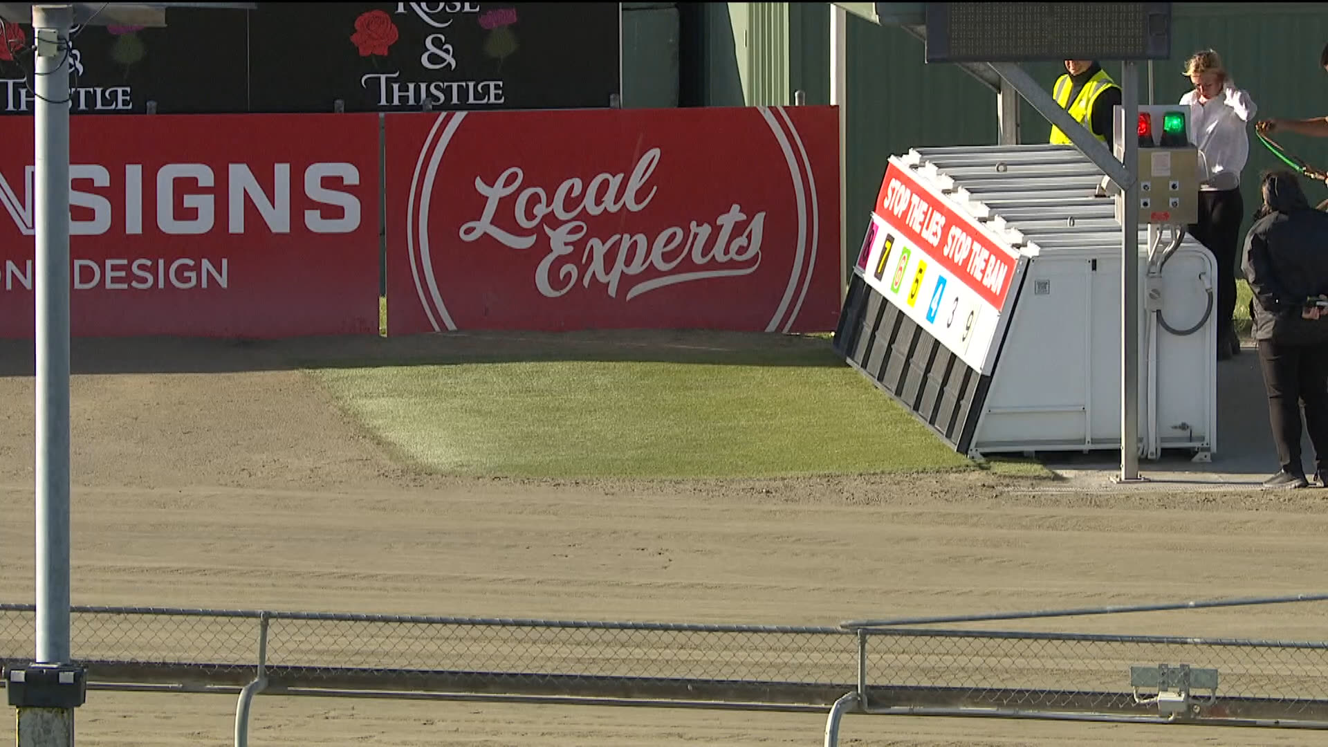 Addington Race 11: 11-12-2025