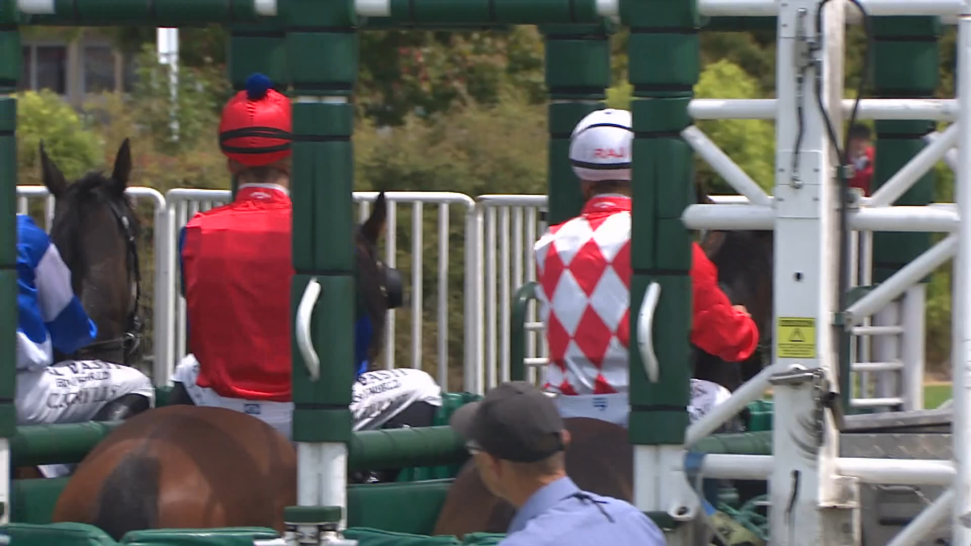 Tauranga races christmas 2025