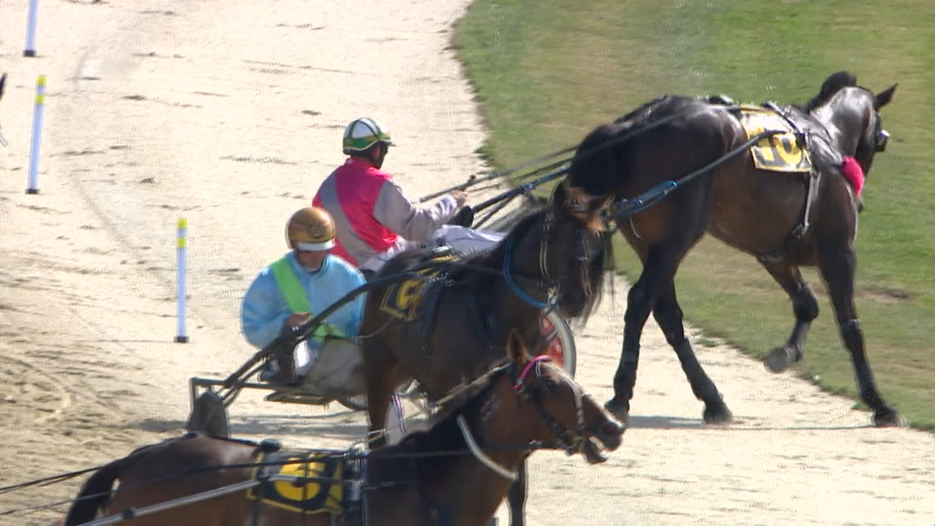 Addington Race 1: 20-02-2025