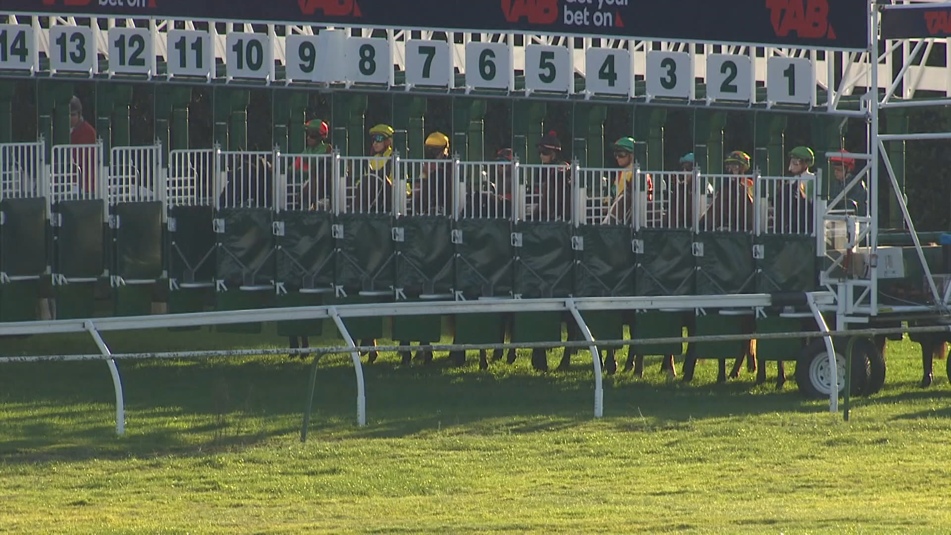 Te Rapa Race 9: 14-06-2025