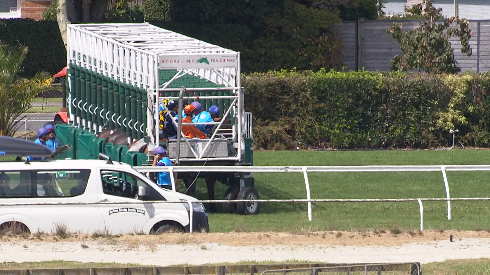 Tauranga races christmas 2025