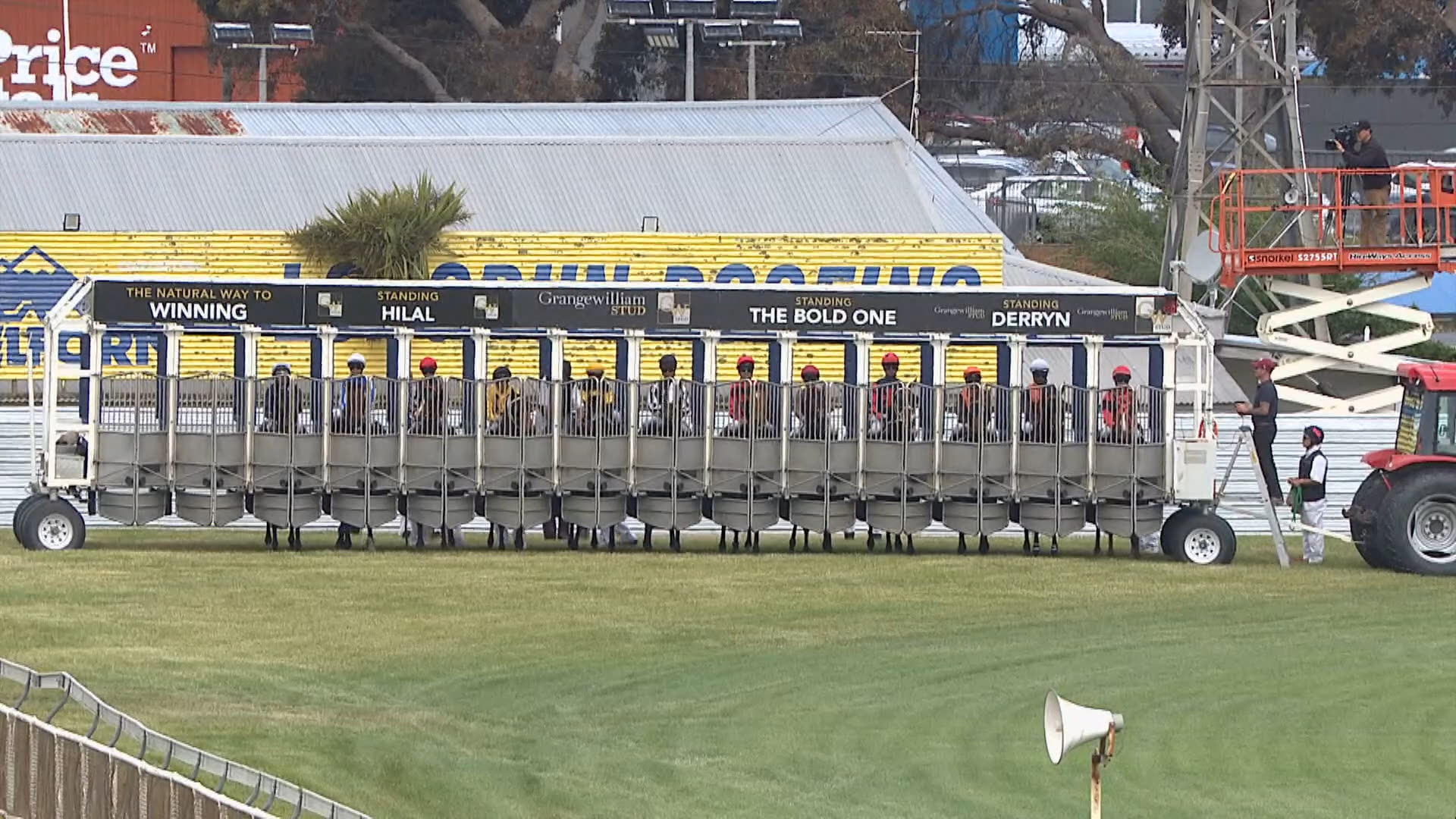 Whanganui Race 8: 22-11-2025