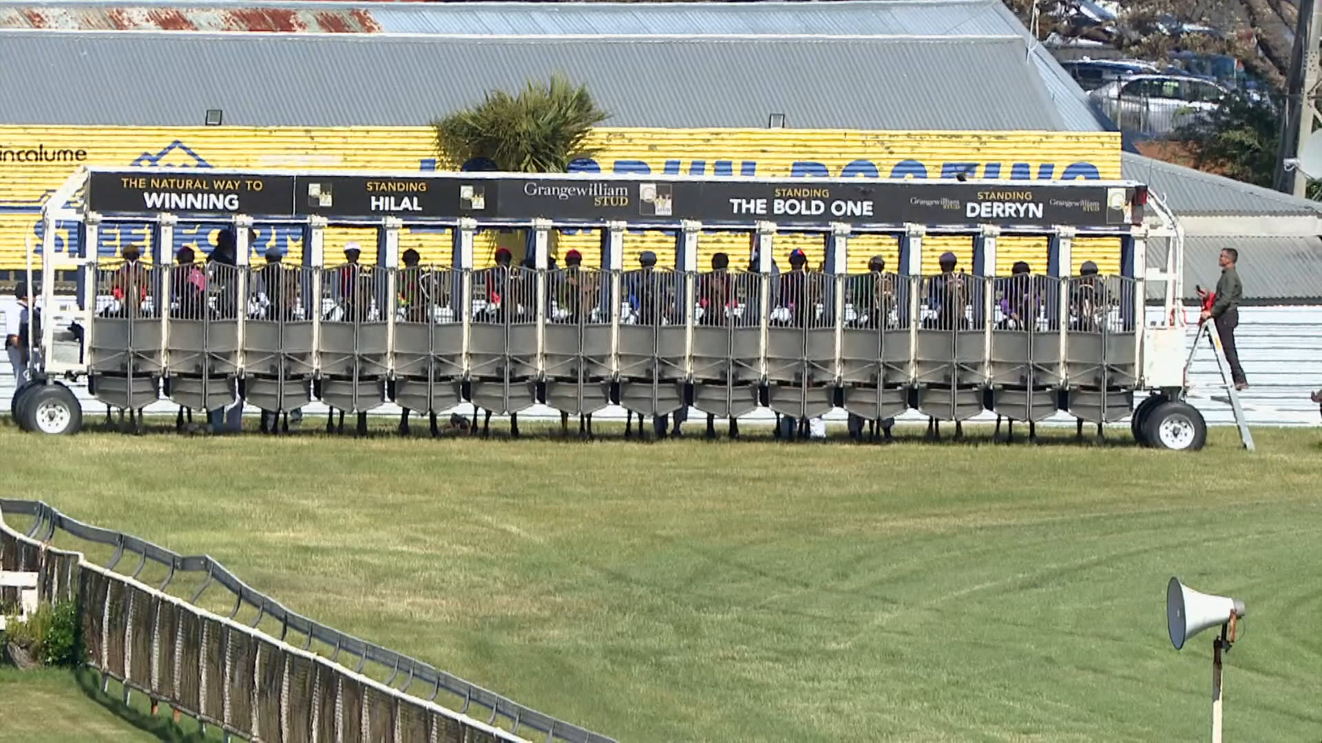 Whanganui Race 8: 29-11-2025