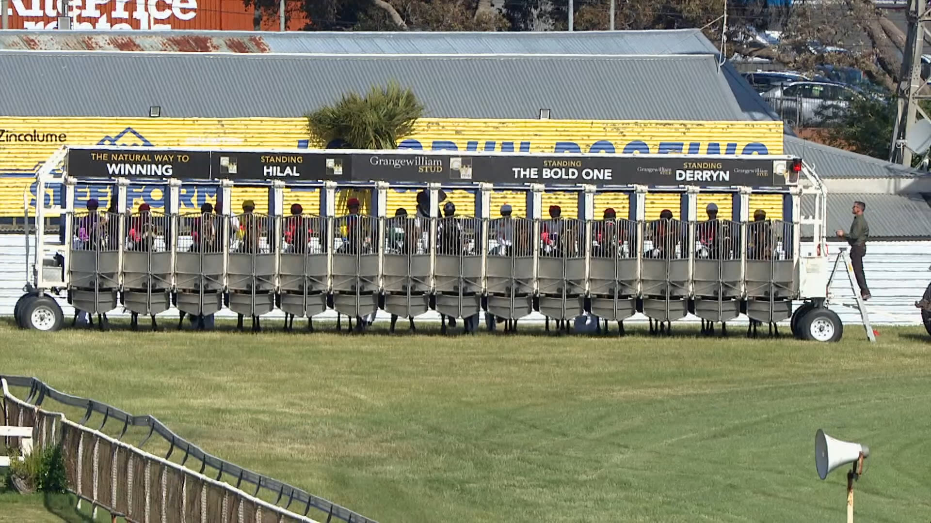 Whanganui Race 9: 29-11-2025