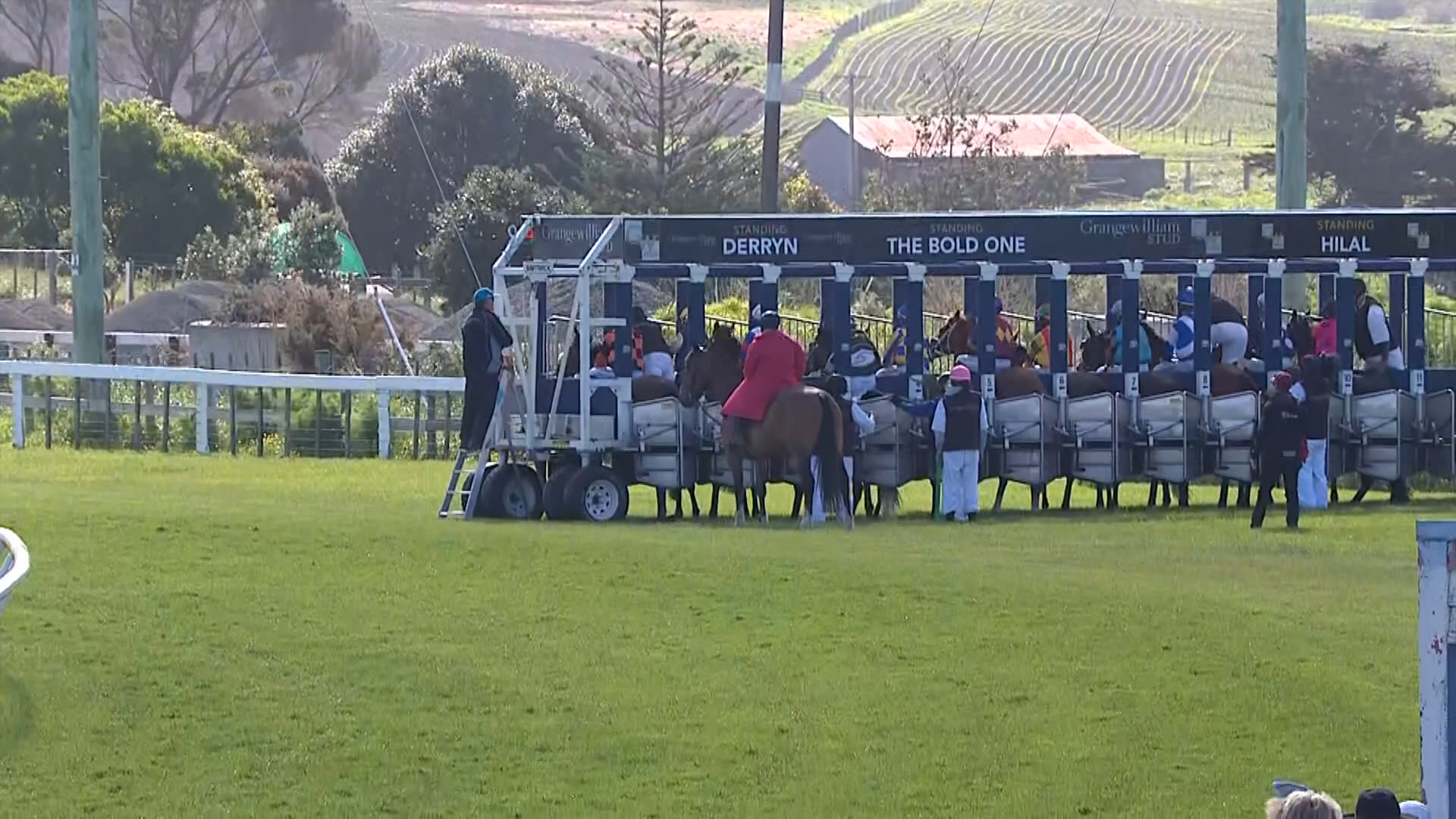 Waverley Race 9: 14-11-2025
