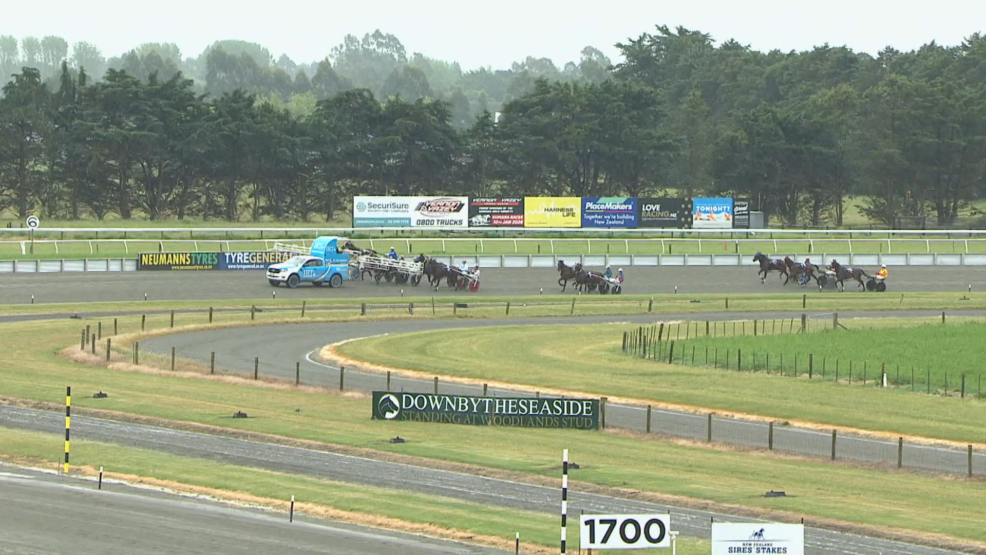 Ashburton Race 12: 13-11-2025
