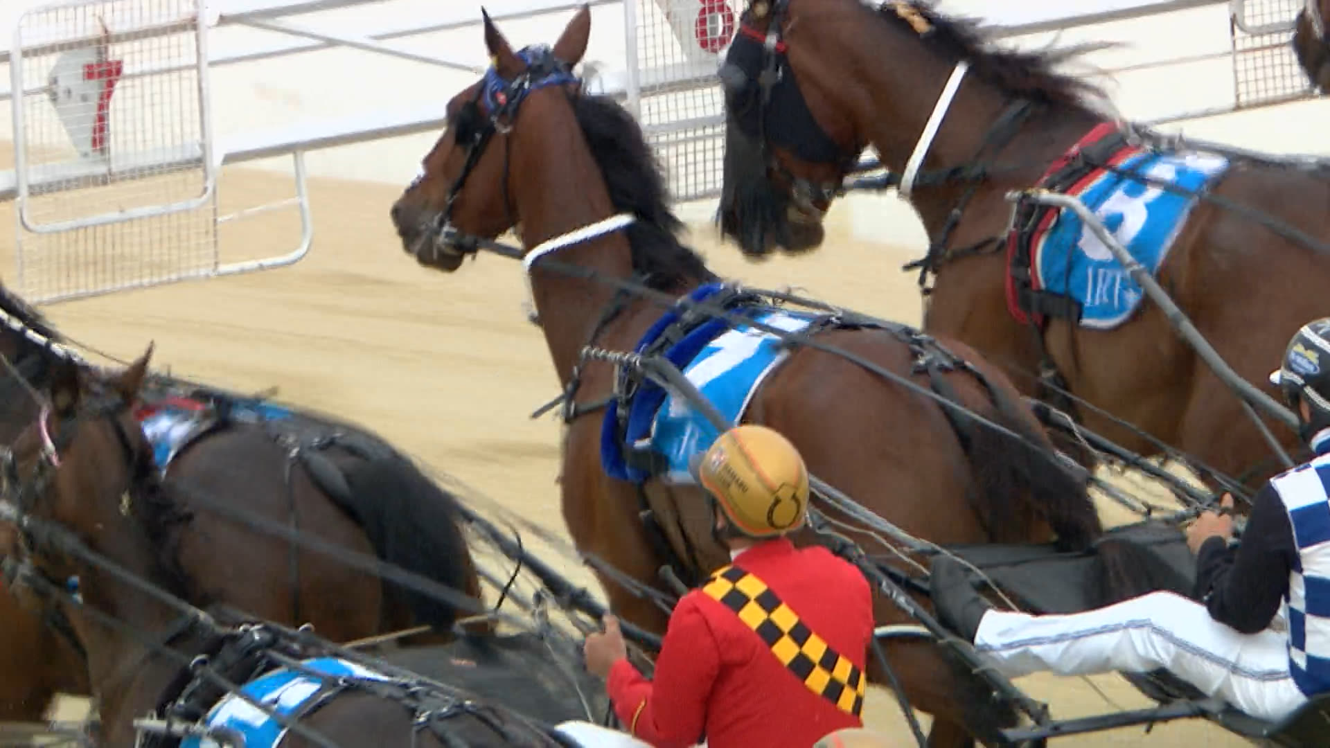 Addington Race 4: 28-11-2025