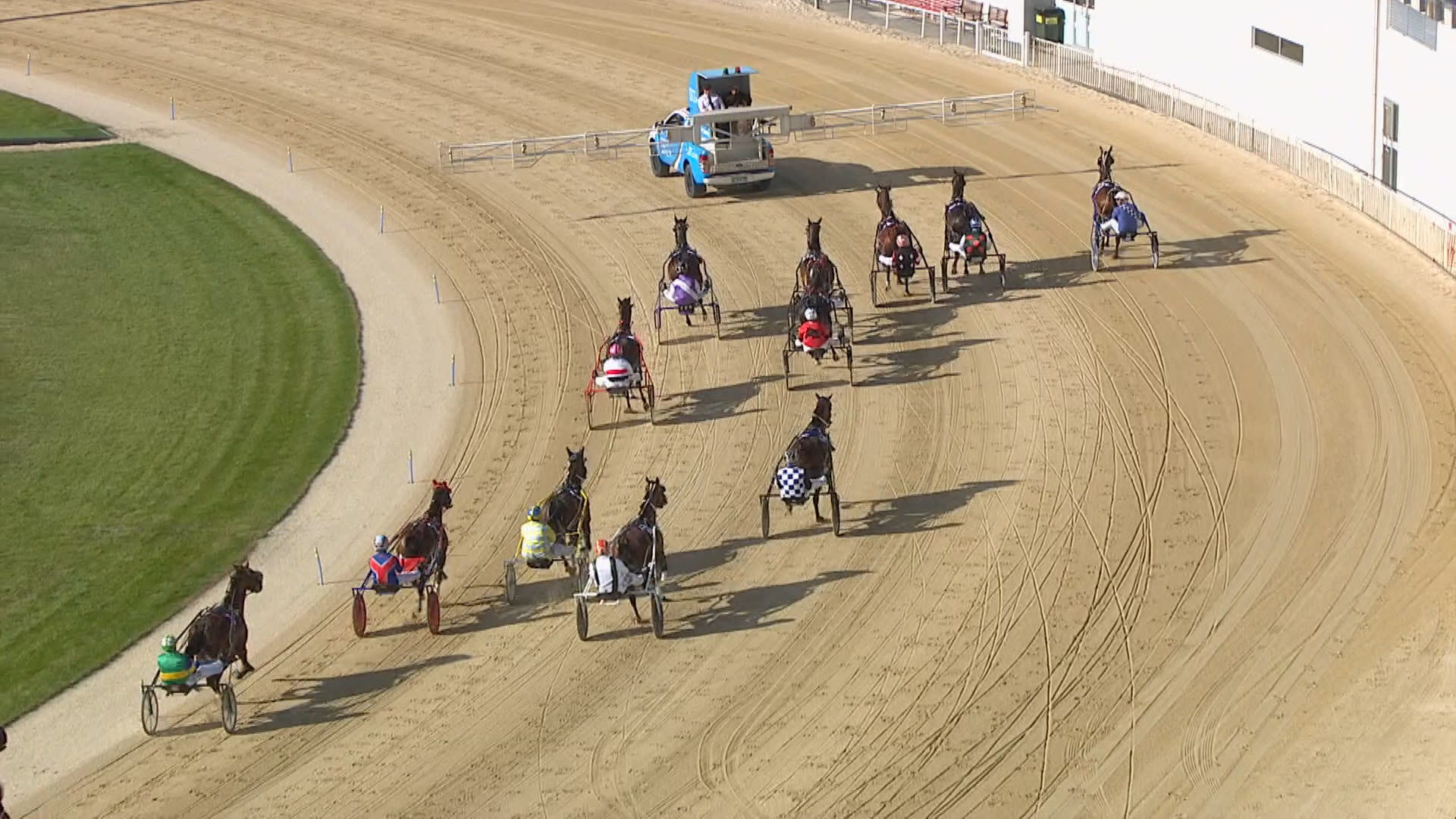 Addington Race 8: 14-11-2025