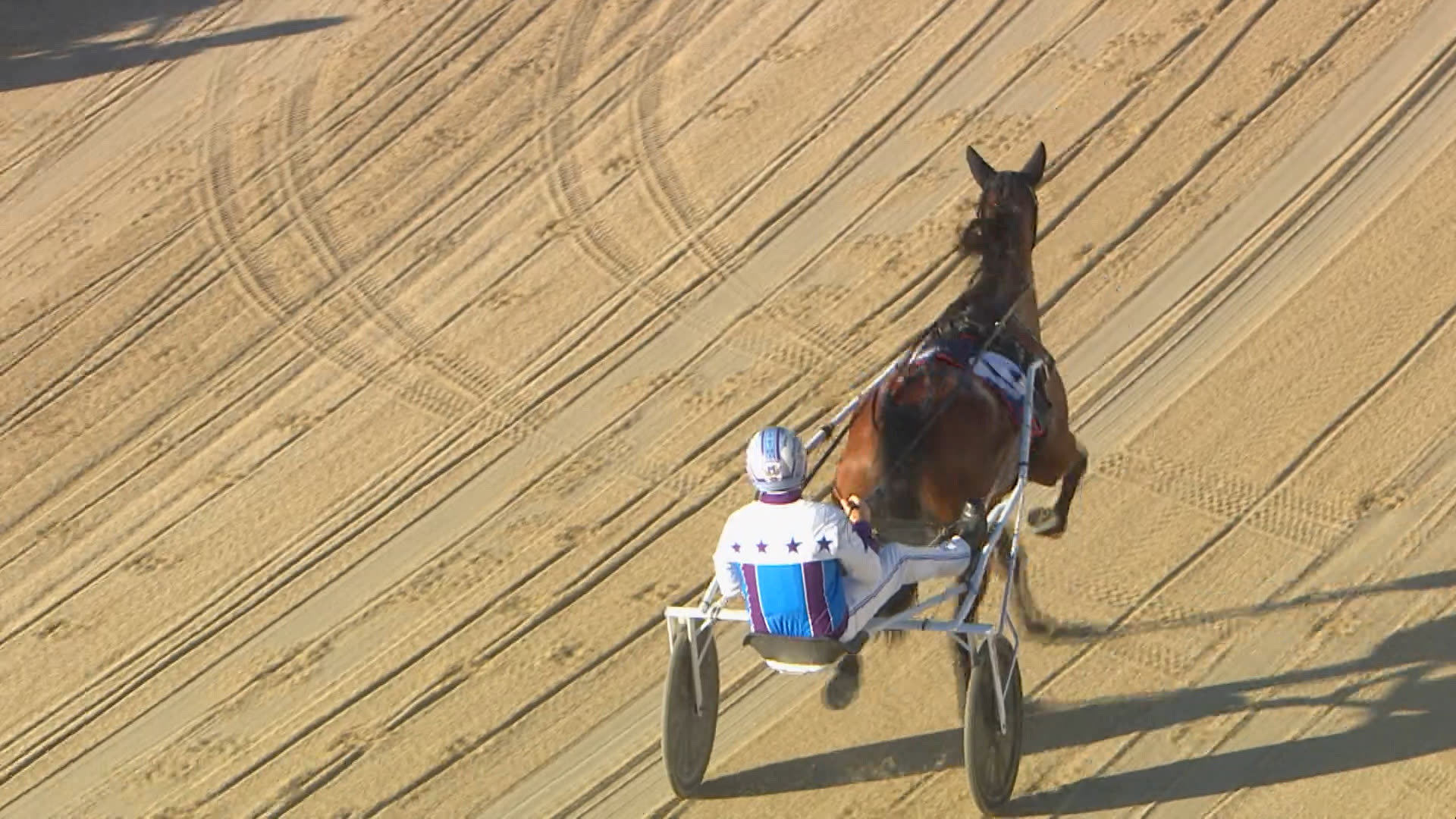 Addington Race 10: 14-11-2025