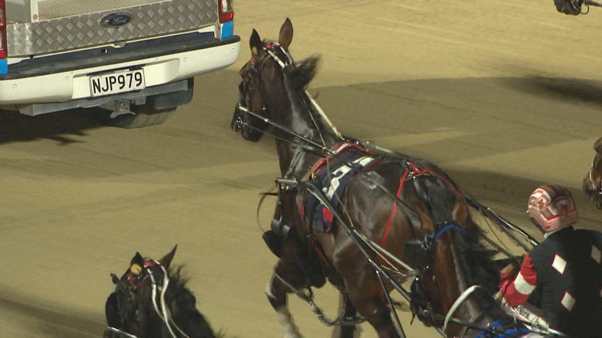 Addington Race 12: 21-11-2025