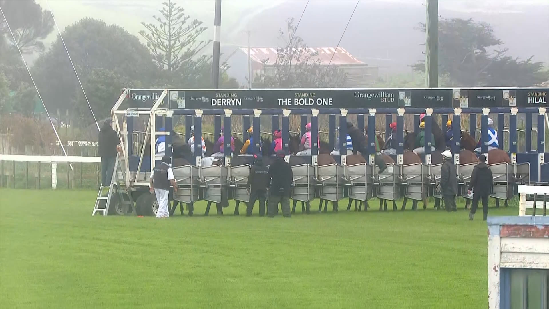 Waverley Race 1: 19-10-2025
