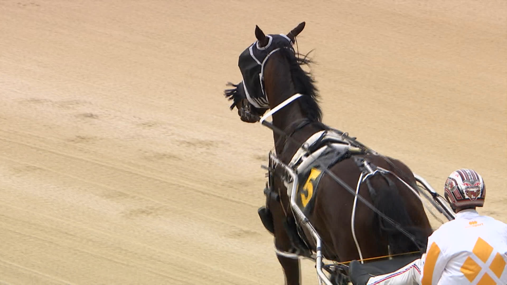 Addington Race 2: 08-10-2025