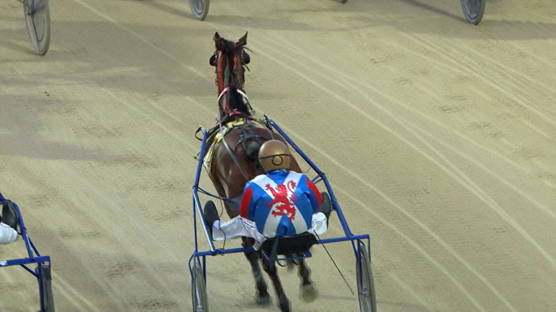 Addington Race 6: 08-10-2025