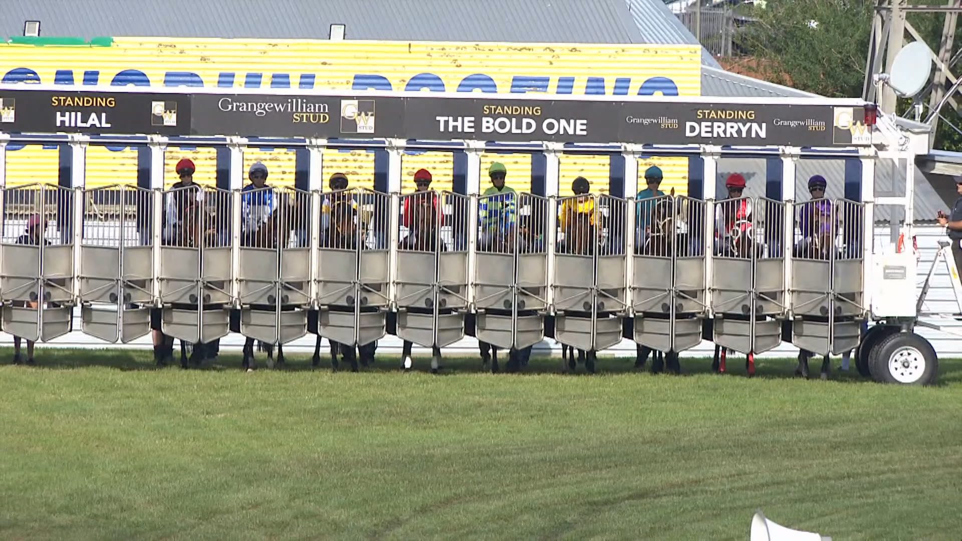 Whanganui Race 5: 06-04-2026