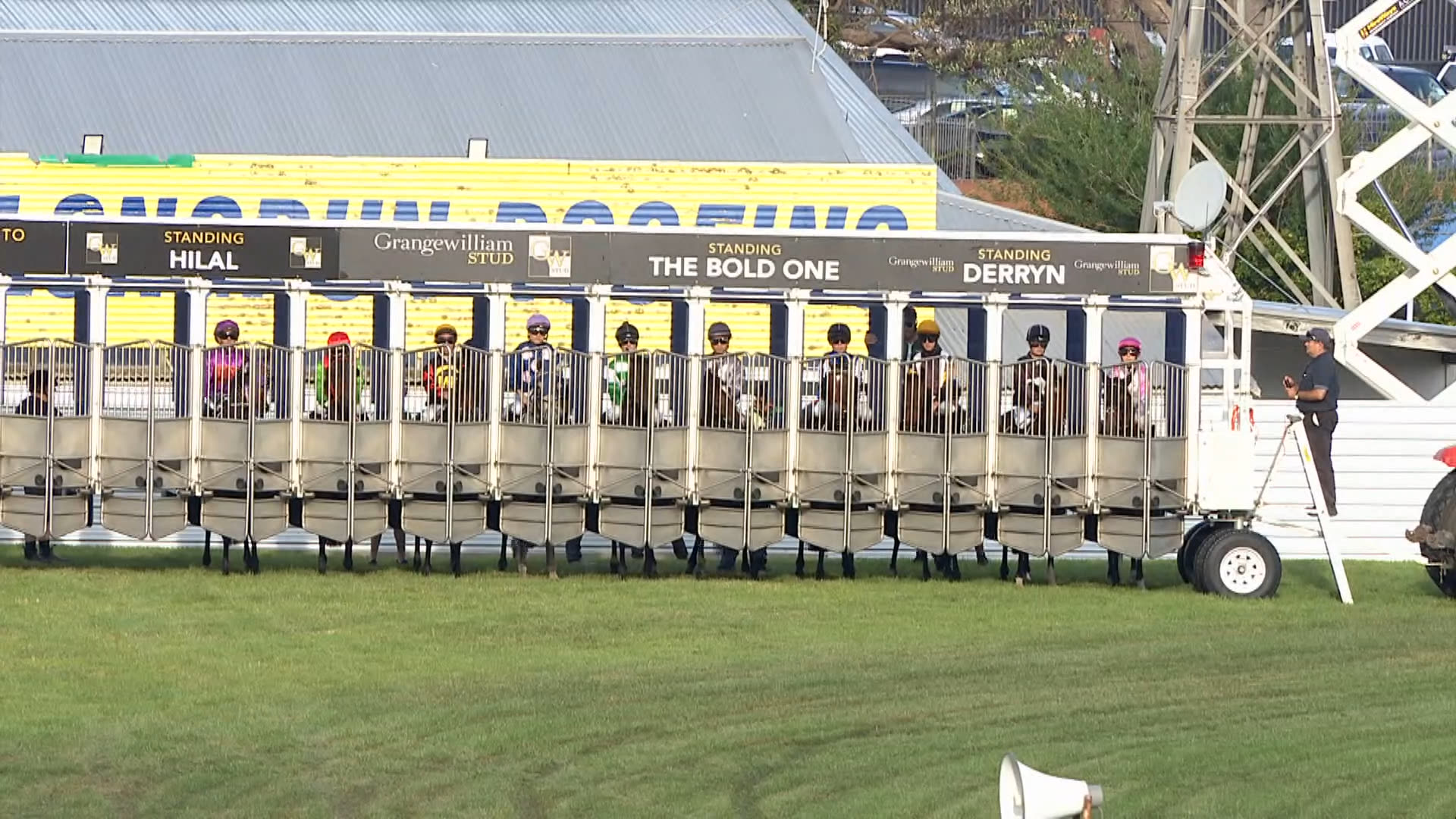 Whanganui Race 7: 06-04-2026