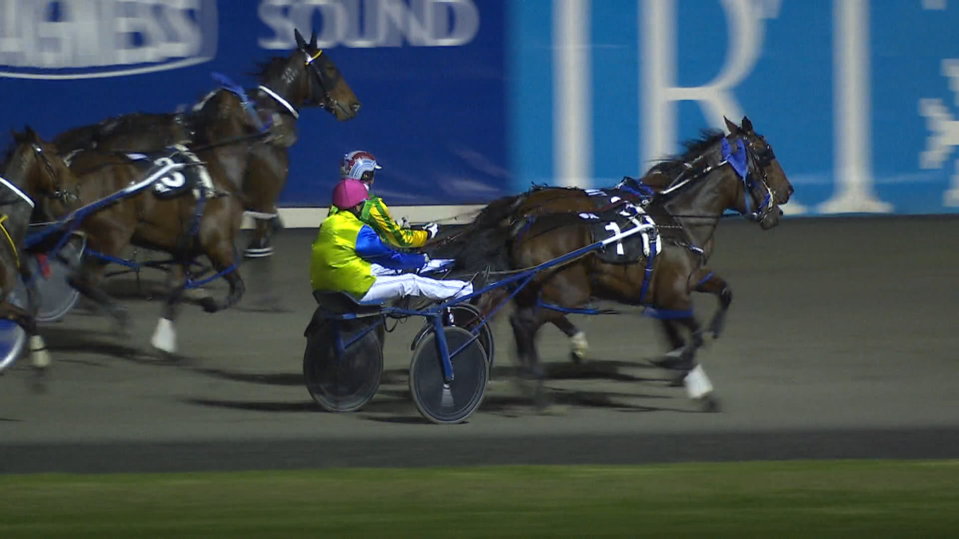 Pukekohe Race 5: 24-04-2026