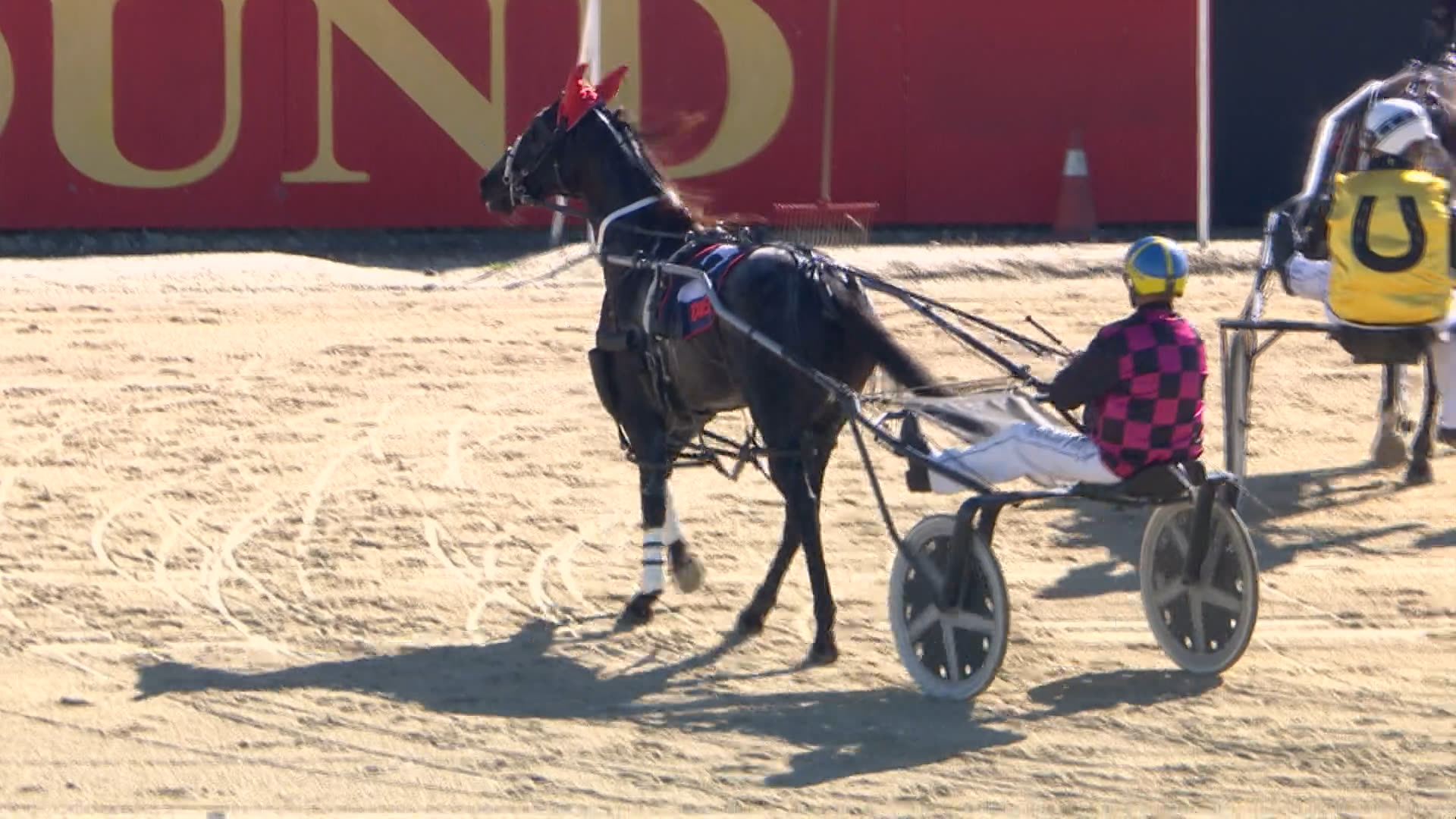 Addington Race 2: 19-04-2026