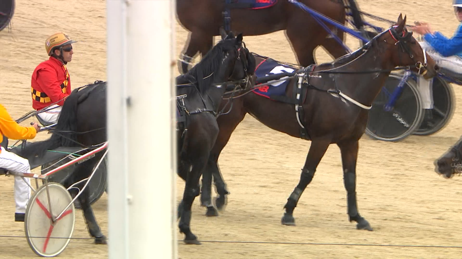 Addington Race 2: 04-04-2026