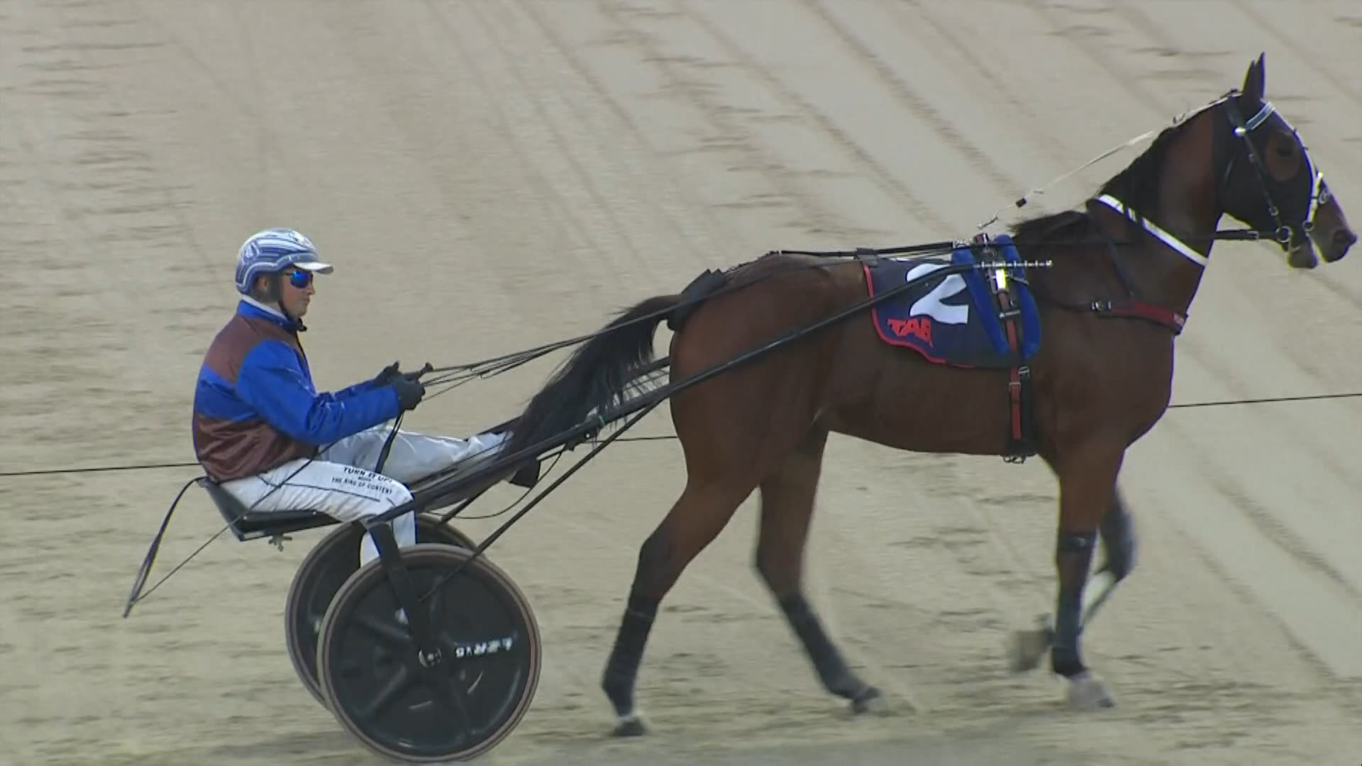 Addington Race 2: 17-04-2026