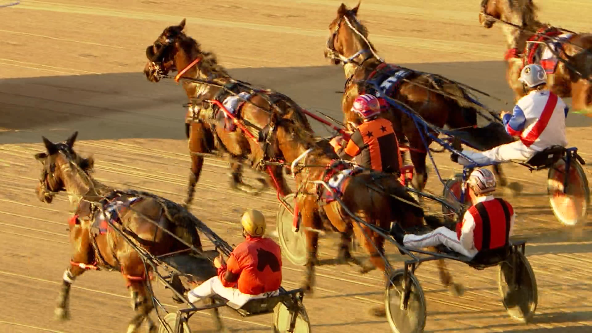 Addington Race 3: 08-04-2026