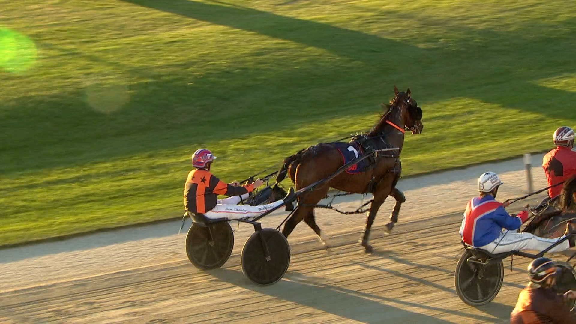Addington Race 3: 15-04-2026