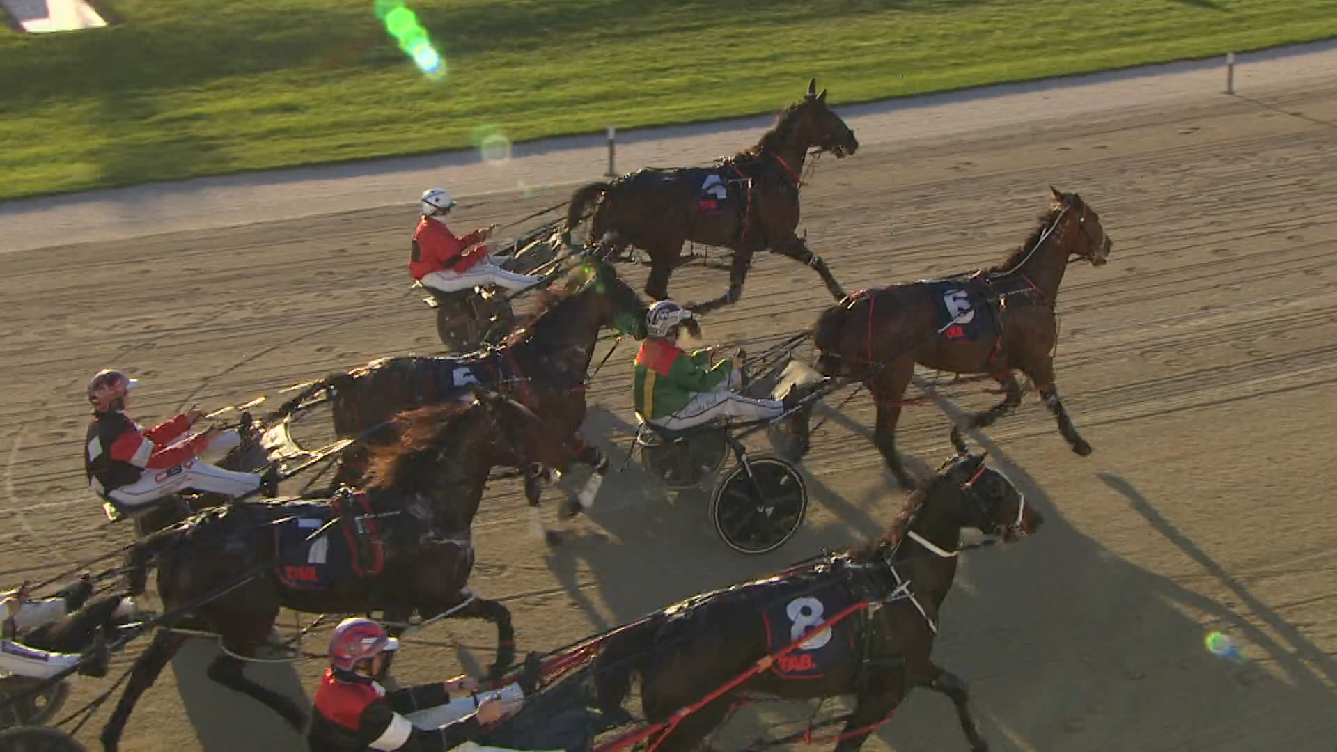 Addington Race 5: 24-04-2026