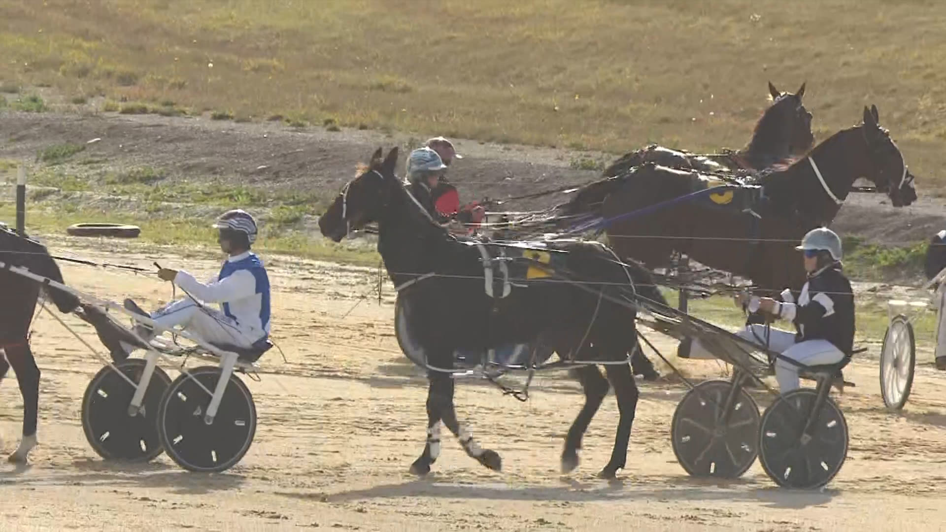 Rangiora Race 7: 26-04-2026
