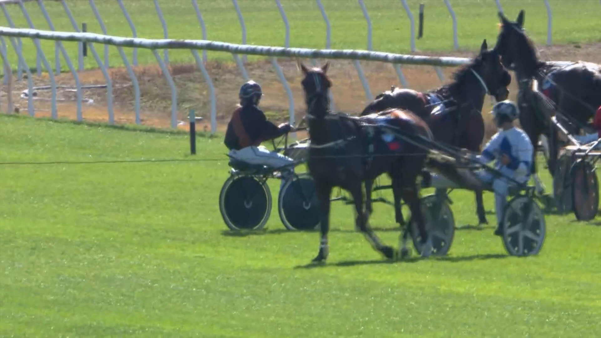 Timaru Race 5: 01-04-2026