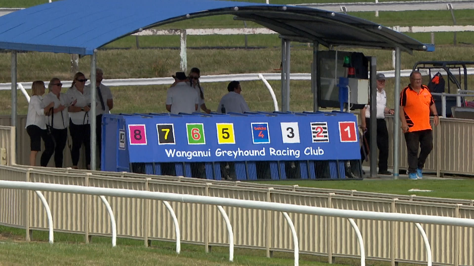 Whanganui Straight Race 11: 24-02-2026