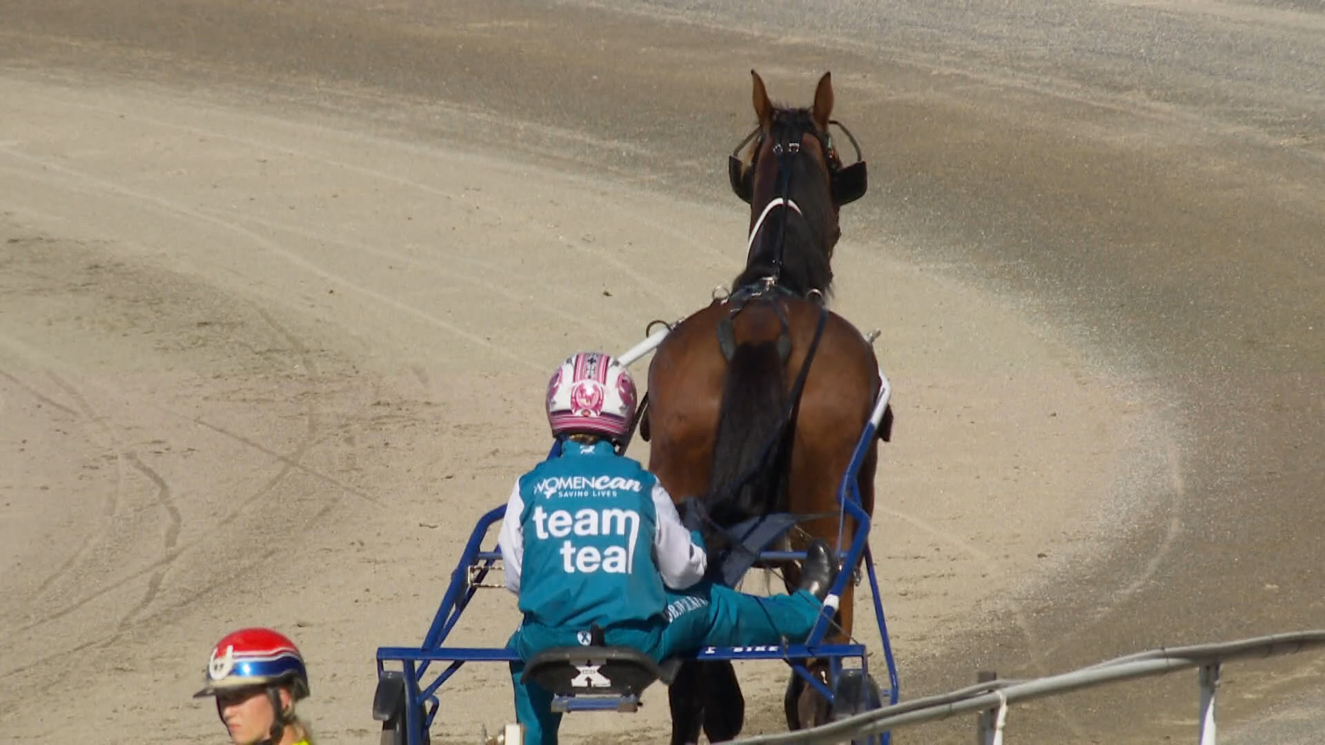 Pukekohe Race 2: 27-02-2026