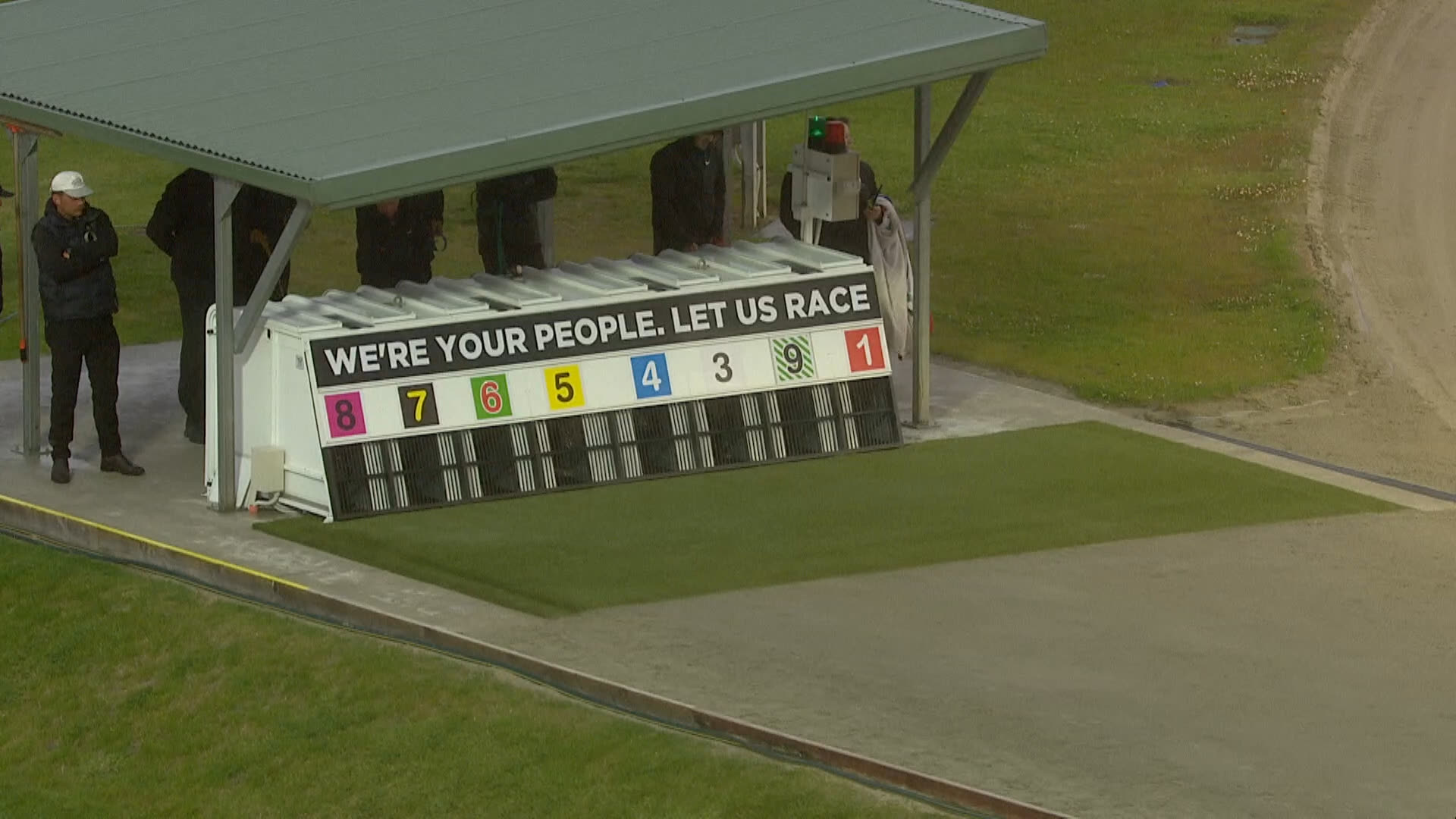 Addington Race 8: 26-02-2026