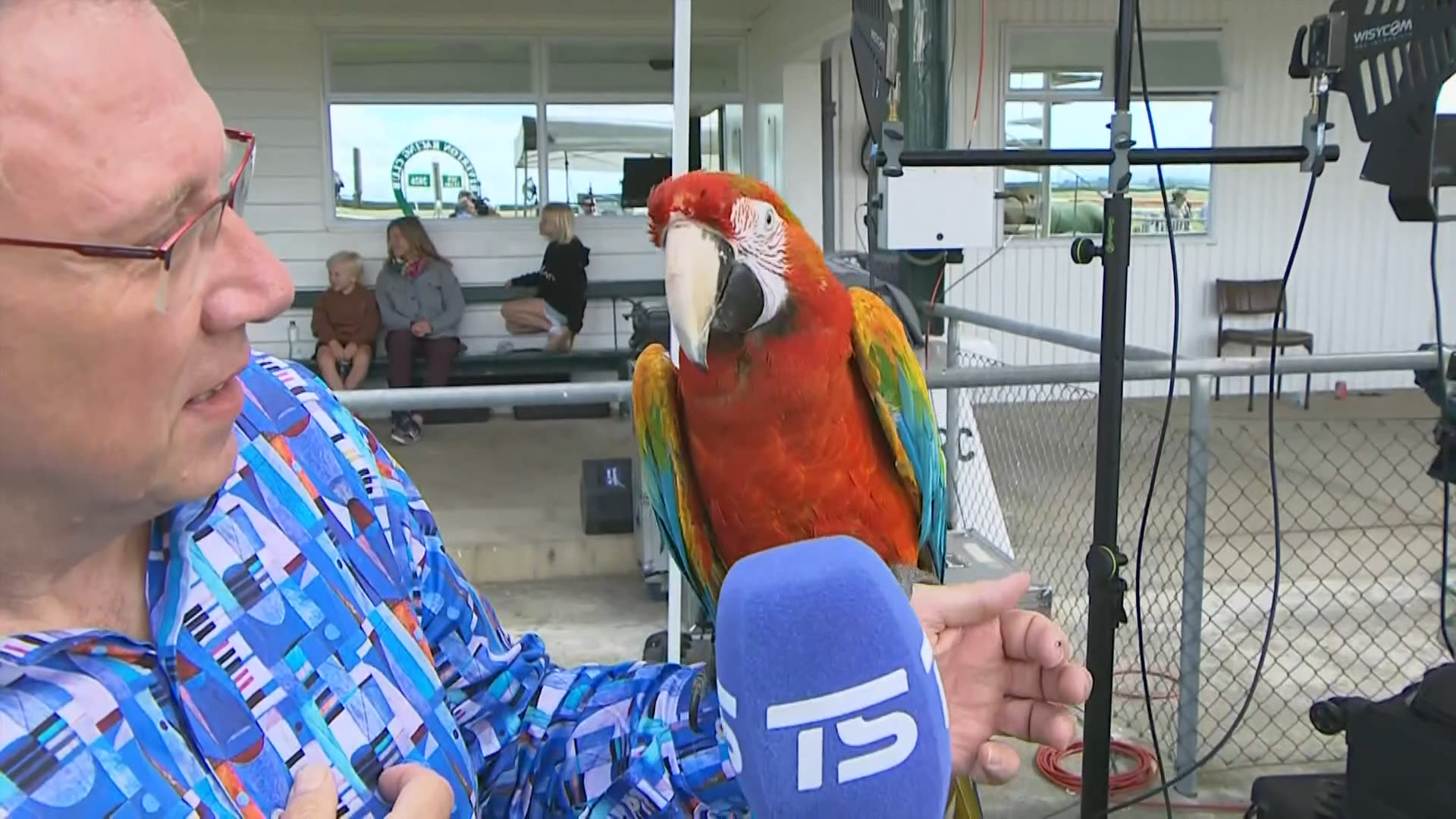 Bird Interview