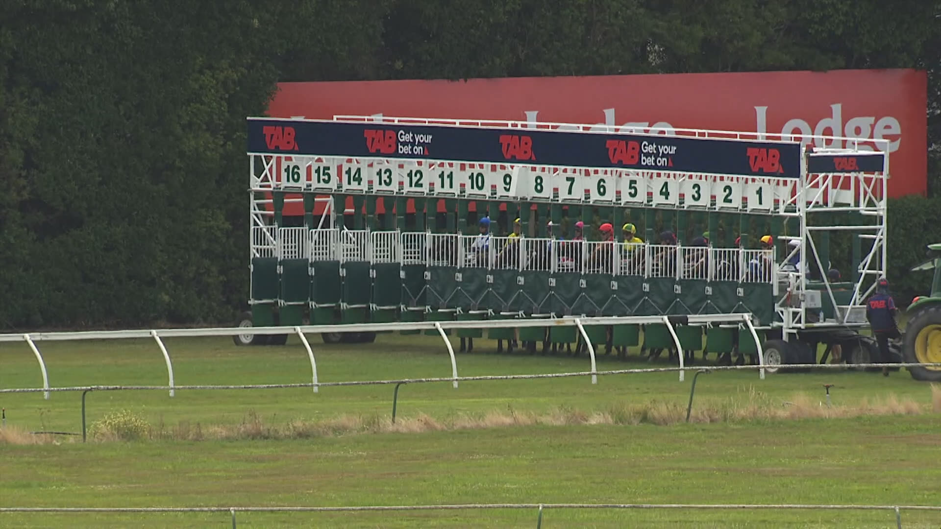 Te Rapa Race 7: 16-01-2026