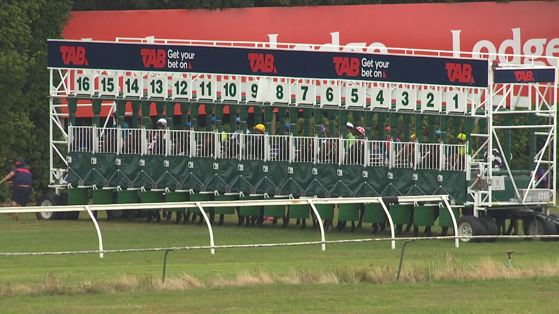 Te Rapa Race 8: 16-01-2026