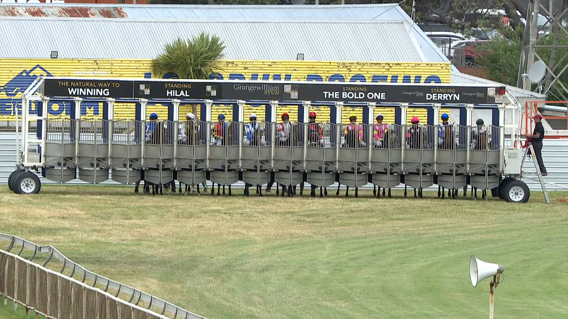 Whanganui Race 8: 10-01-2026