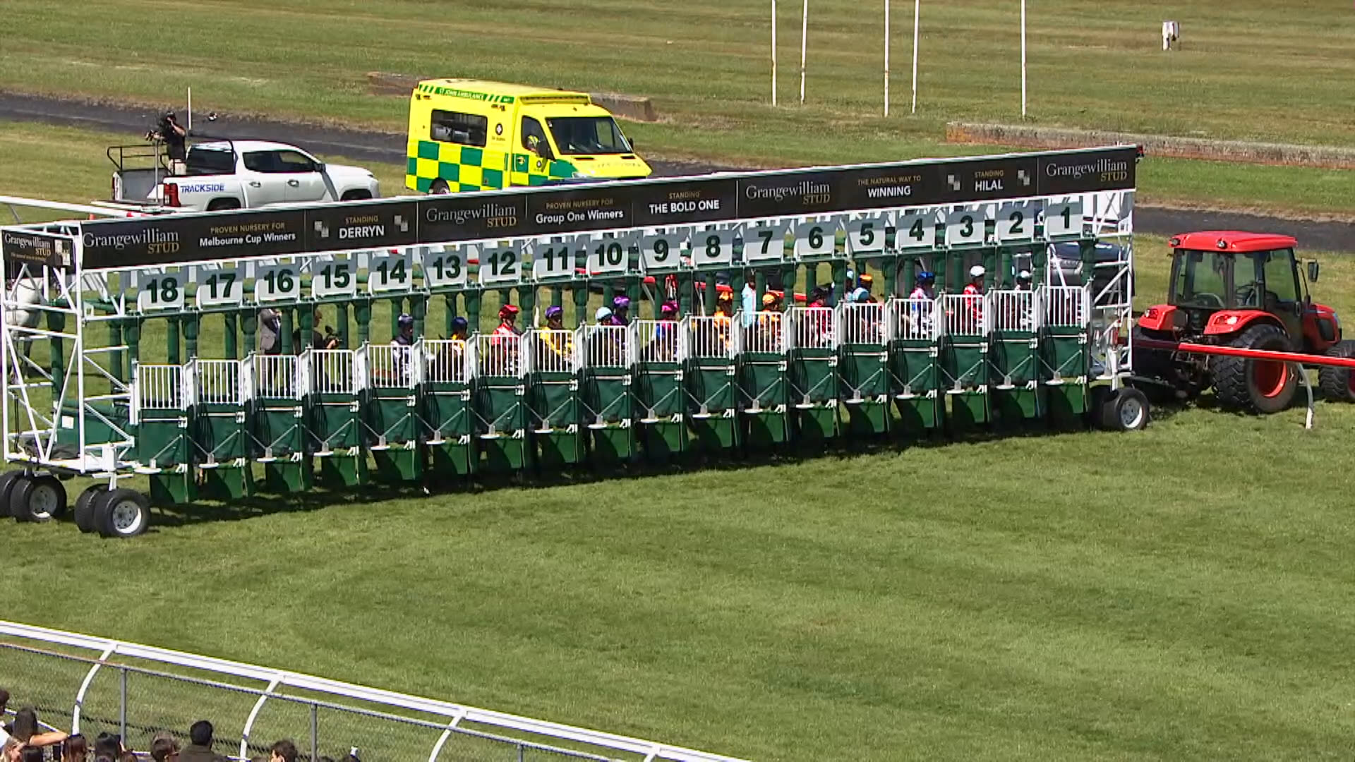 Trentham Race 6: 31-01-2026