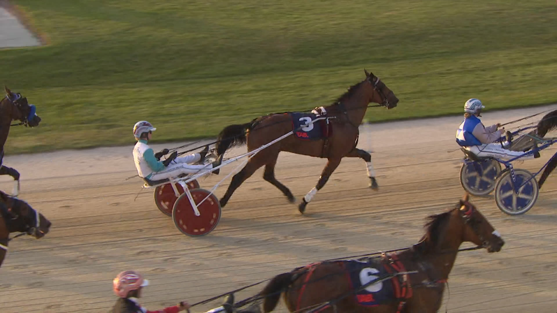 Addington Race 8: 30-01-2026