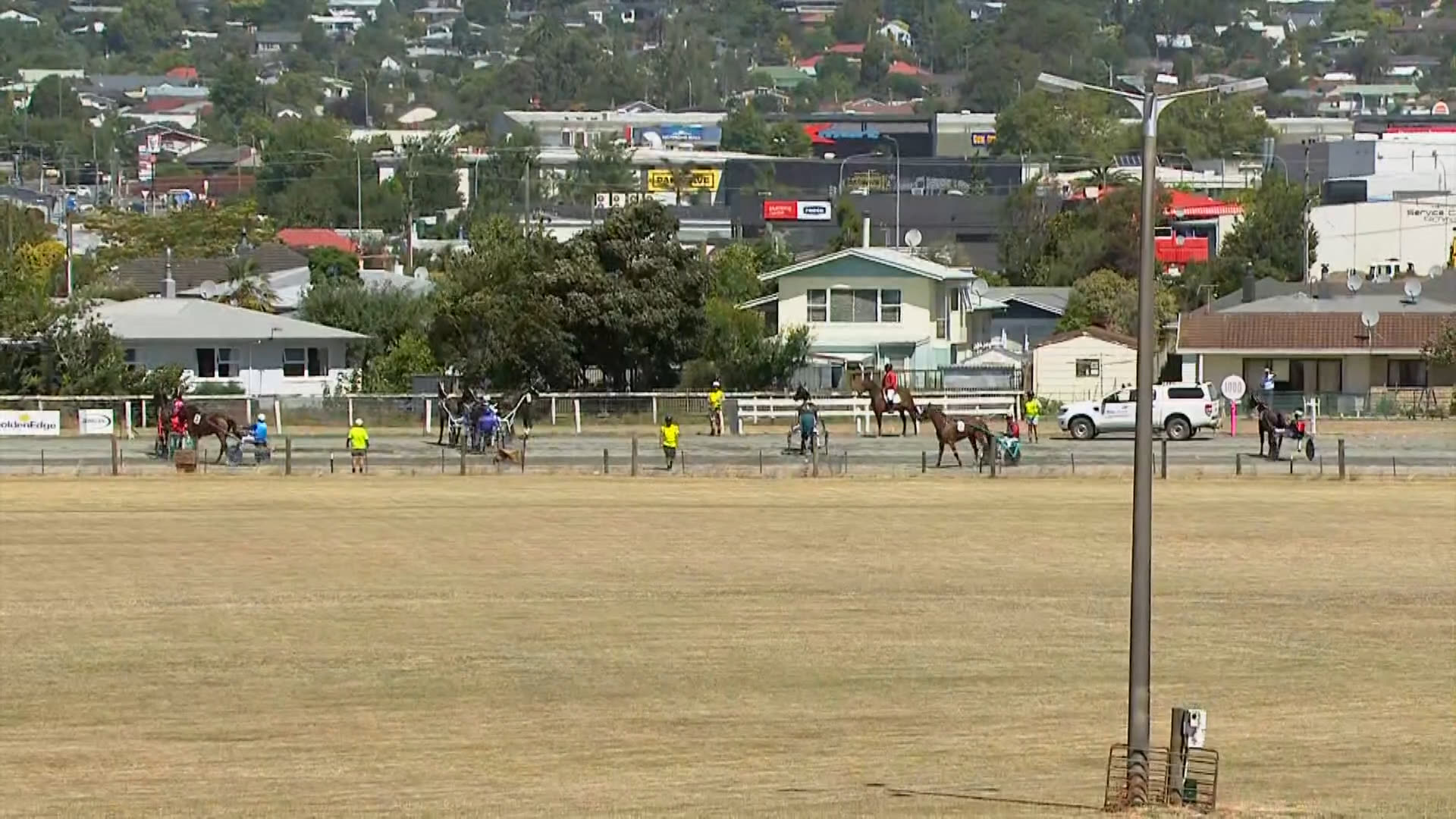 Nelson Race 8: 11-01-2026