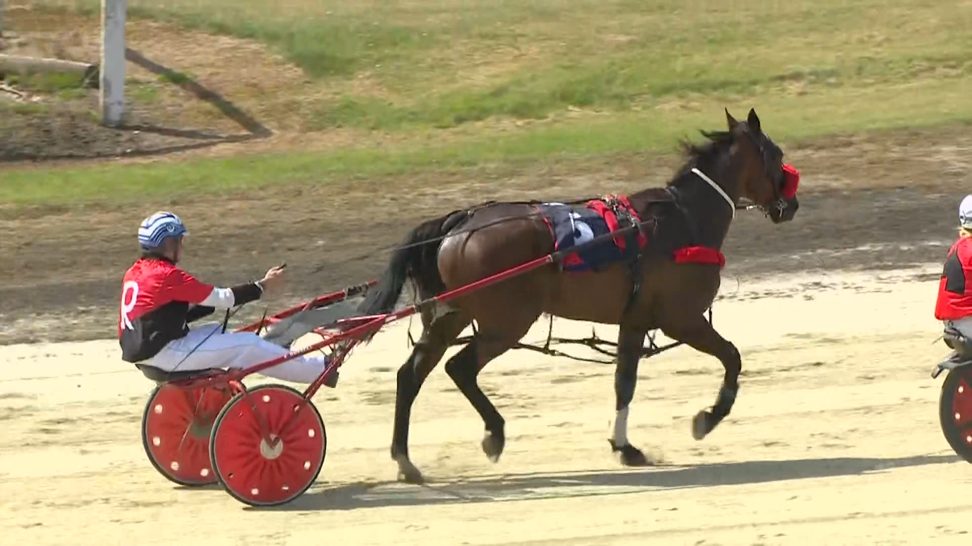 Timaru Race 4: 07-01-2026