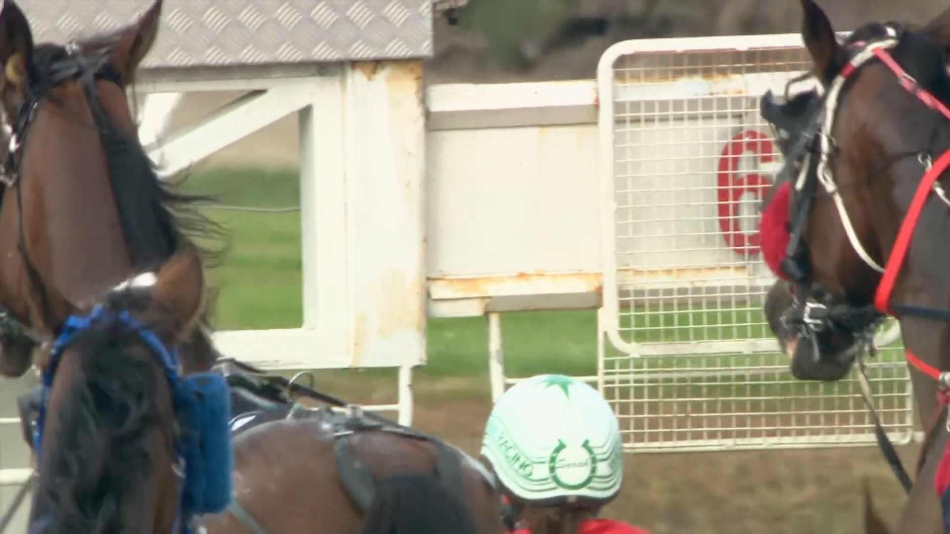 Timaru Race 7: 07-01-2026