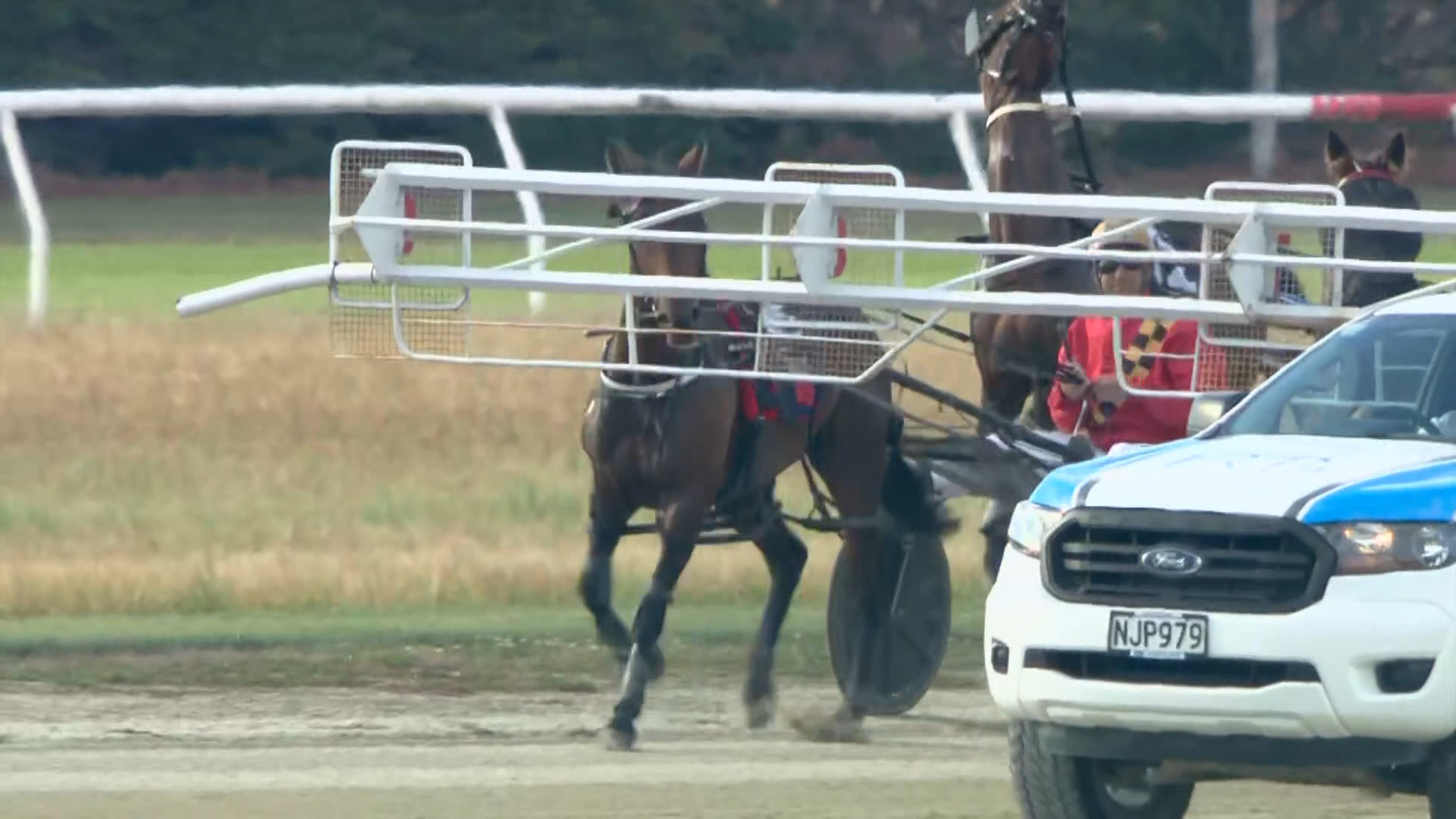 Timaru Race 8: 07-01-2026