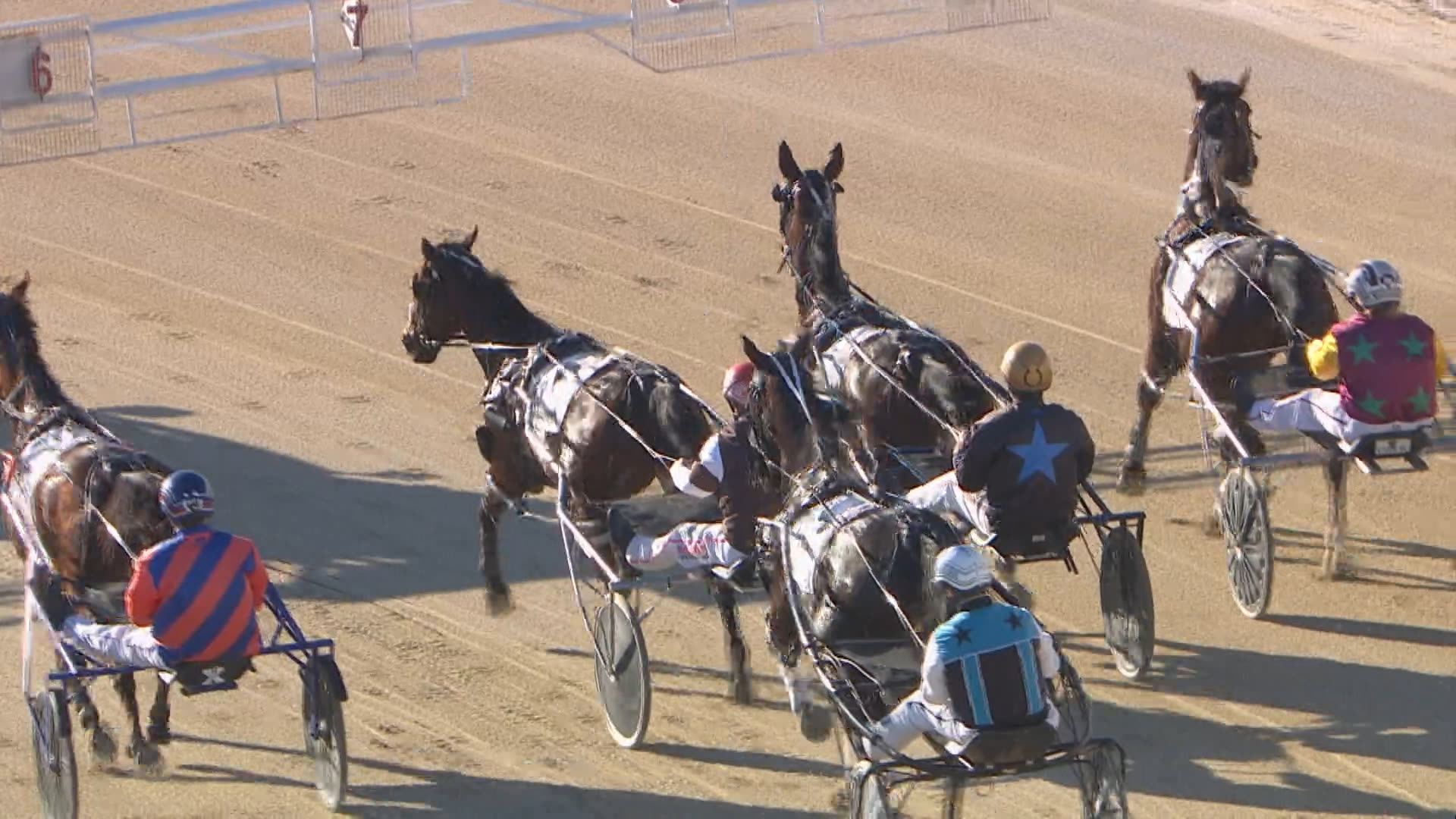Addington Race 5: 07-06-2026